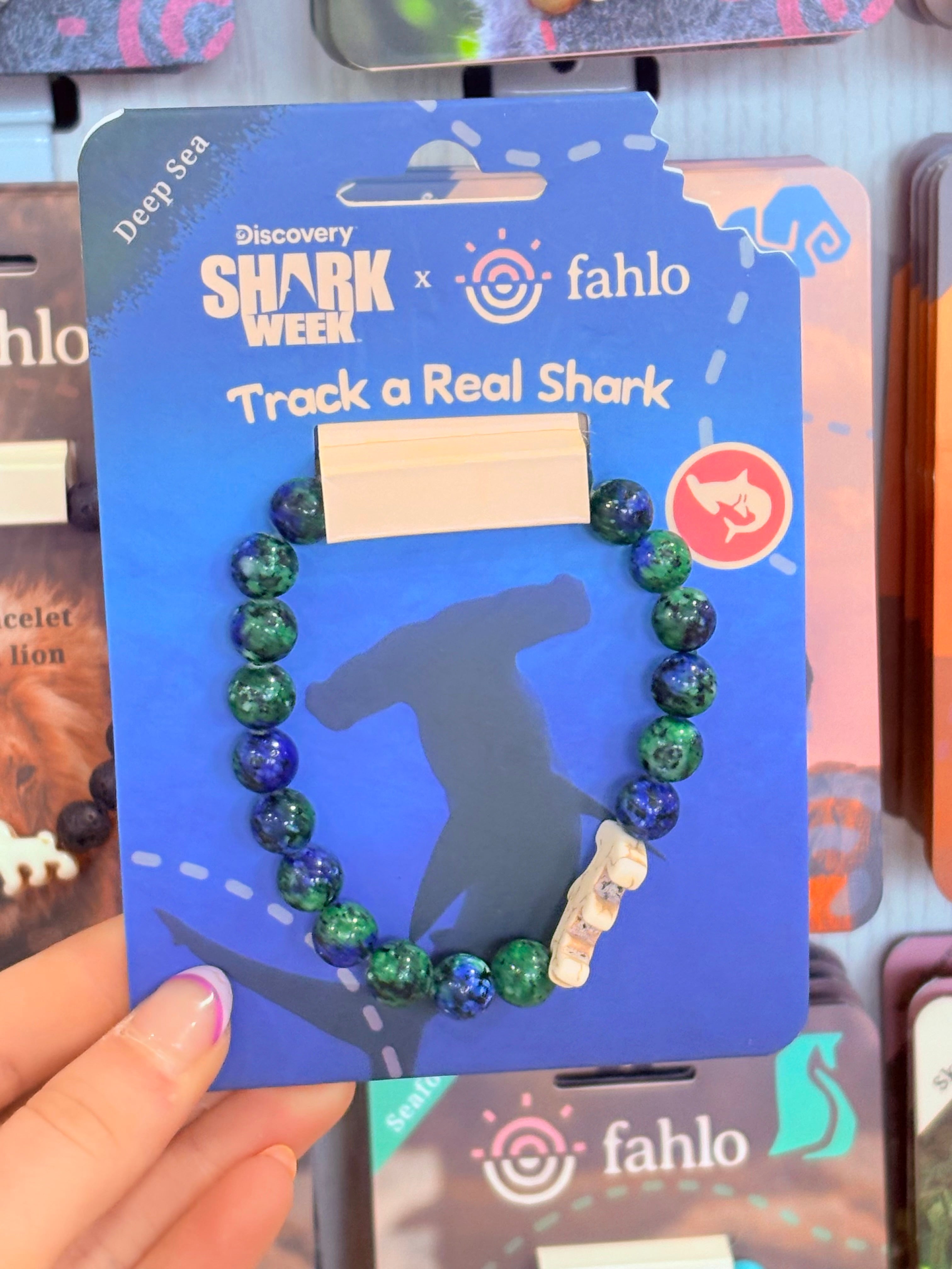 Deep Sea Hammer Head Shark - Fahlo
