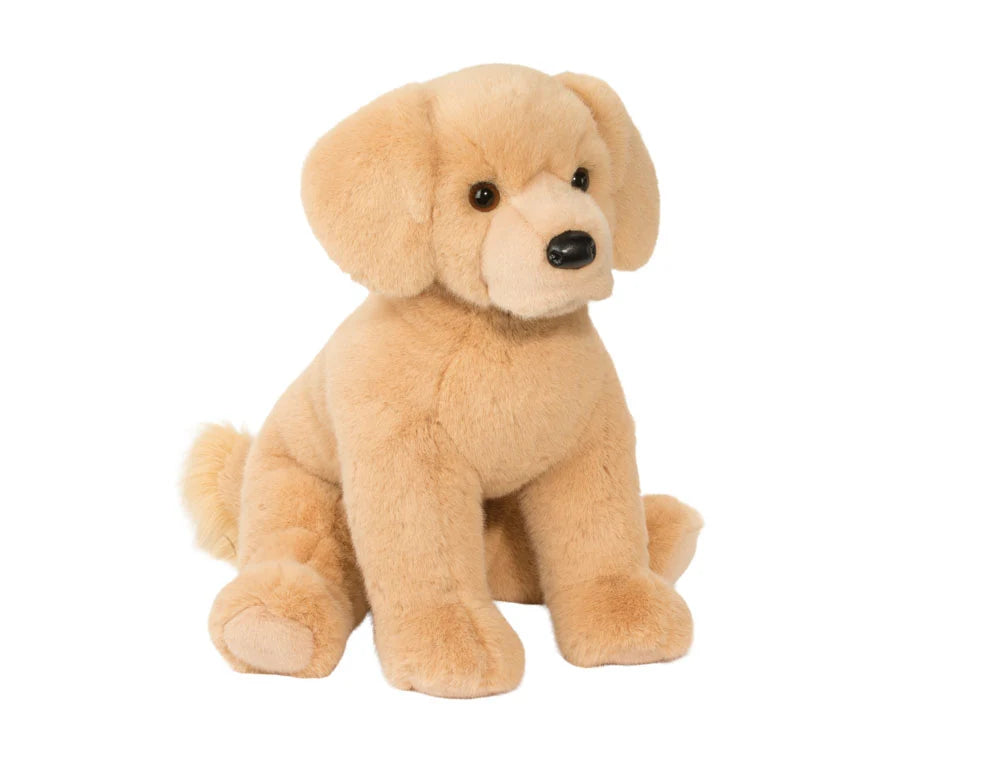 Denali Golden Retriever