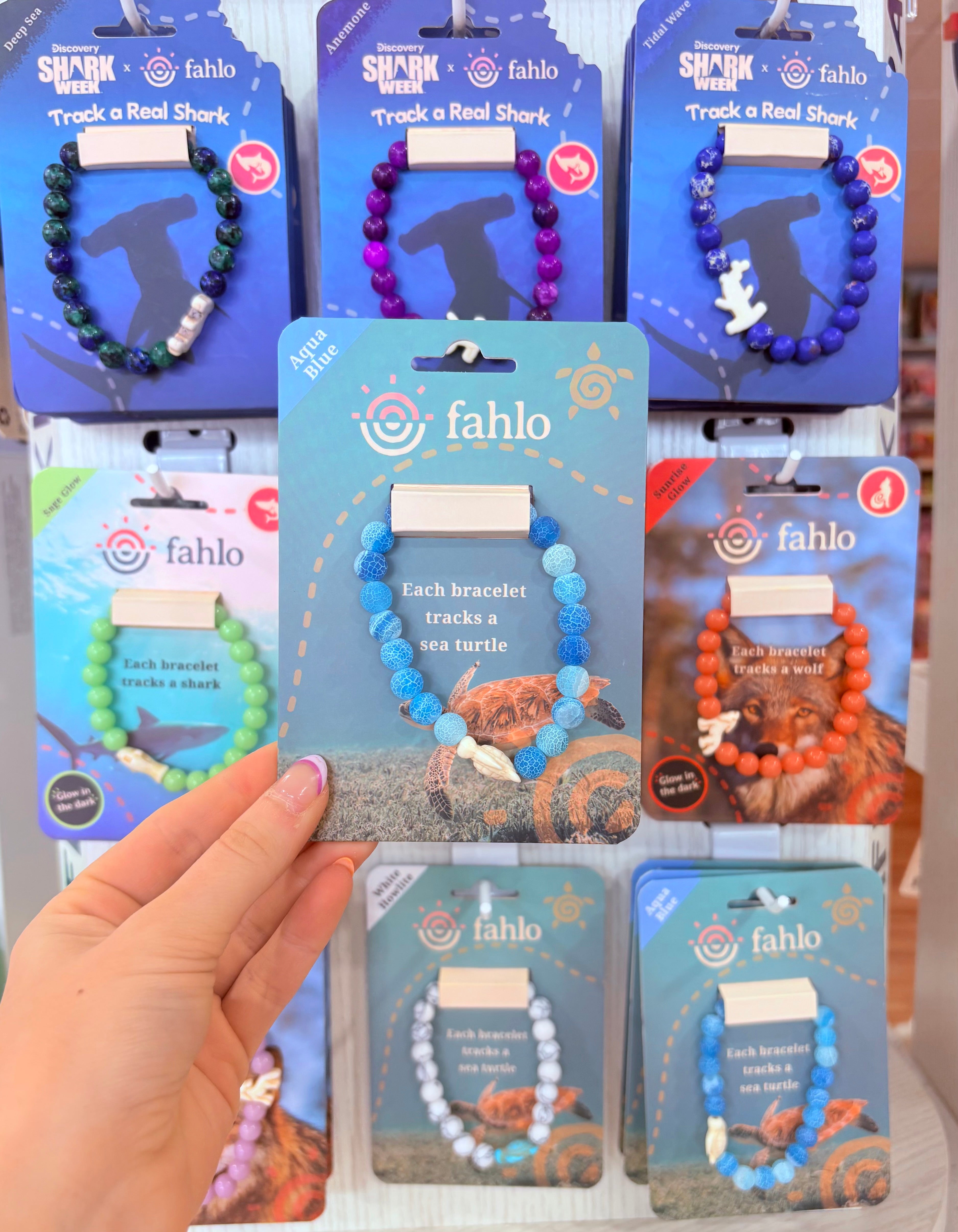 Aqua Blue Turtle - Fahlo