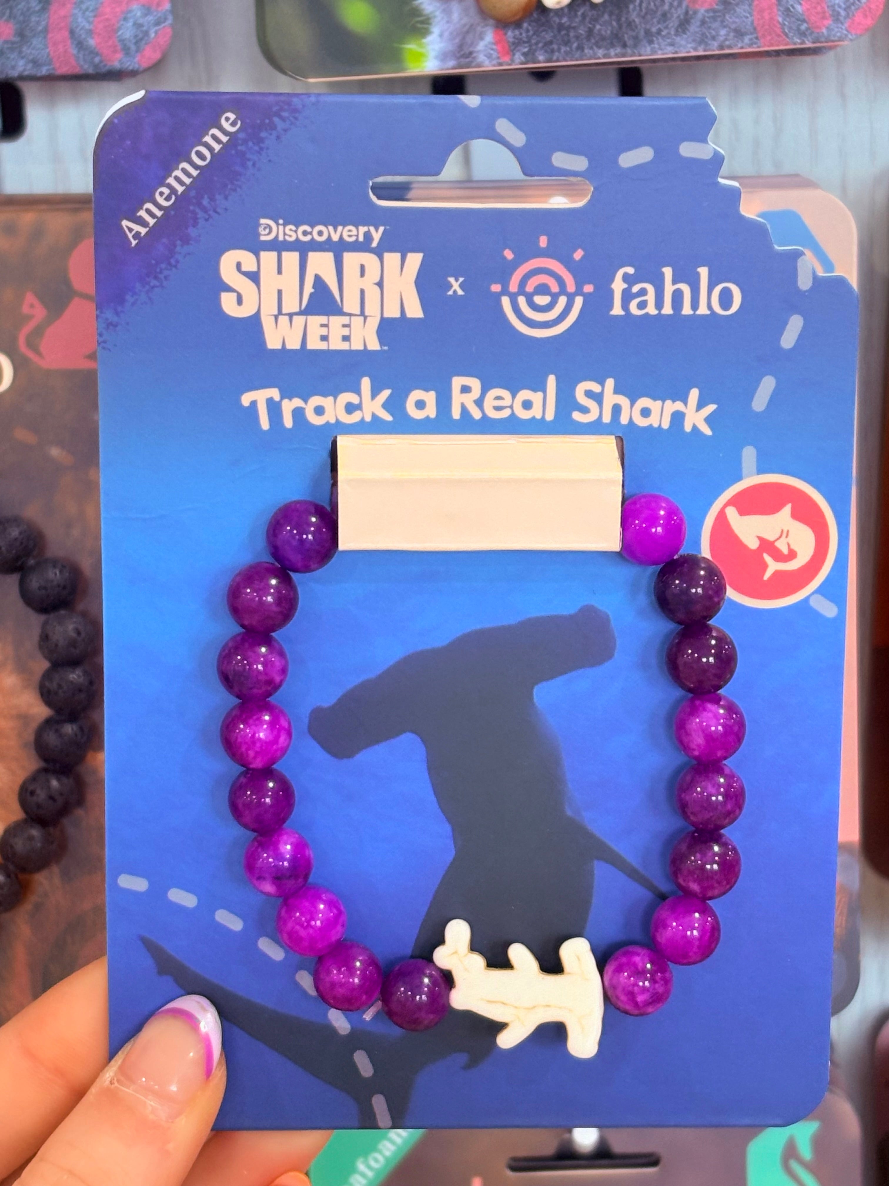 Anemone Hammer Head Shark - Fahlo