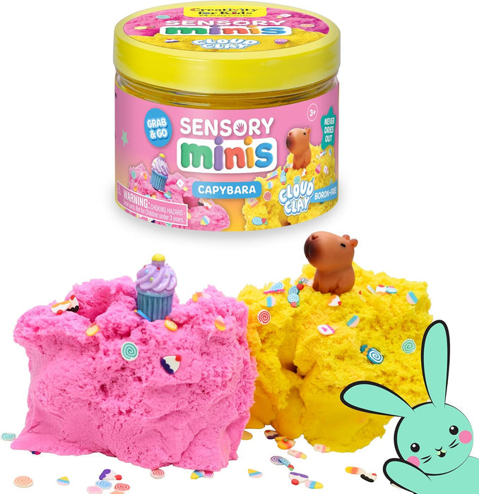 Sensory Minis Capybara