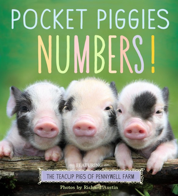 Pocket Piggies Numbers! Featuring the Teacup Pigs of Pennywell Farm