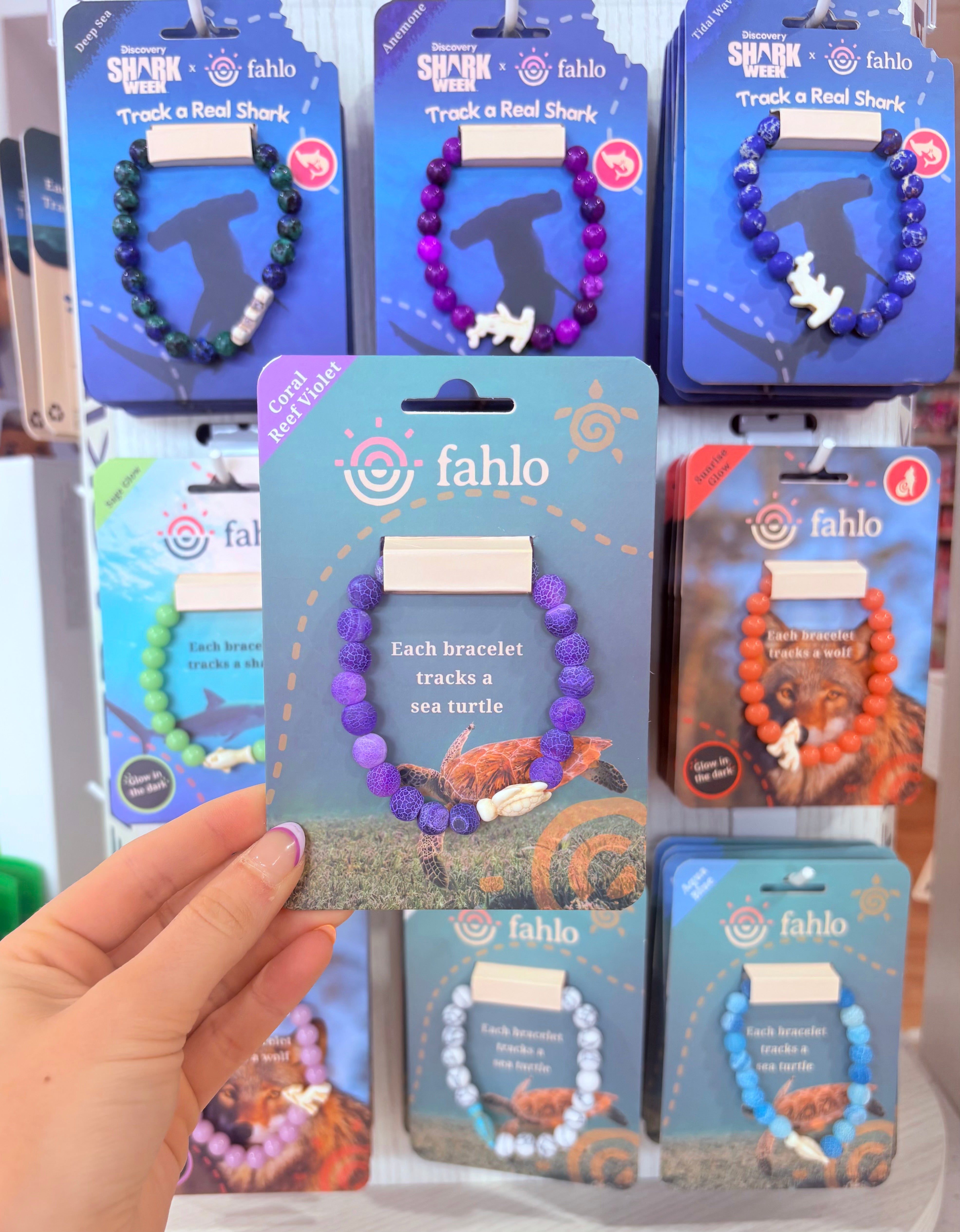 Coral Reef Violet Turtle - Fahlo