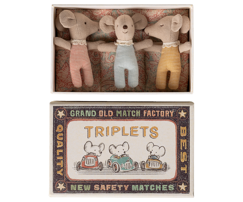 Triplets, Baby mice in matchbox