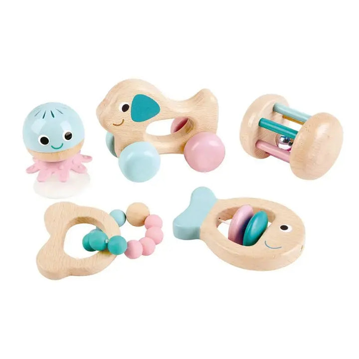 Wooden Multi-Stage Sensory 5 Pieces Gift Set