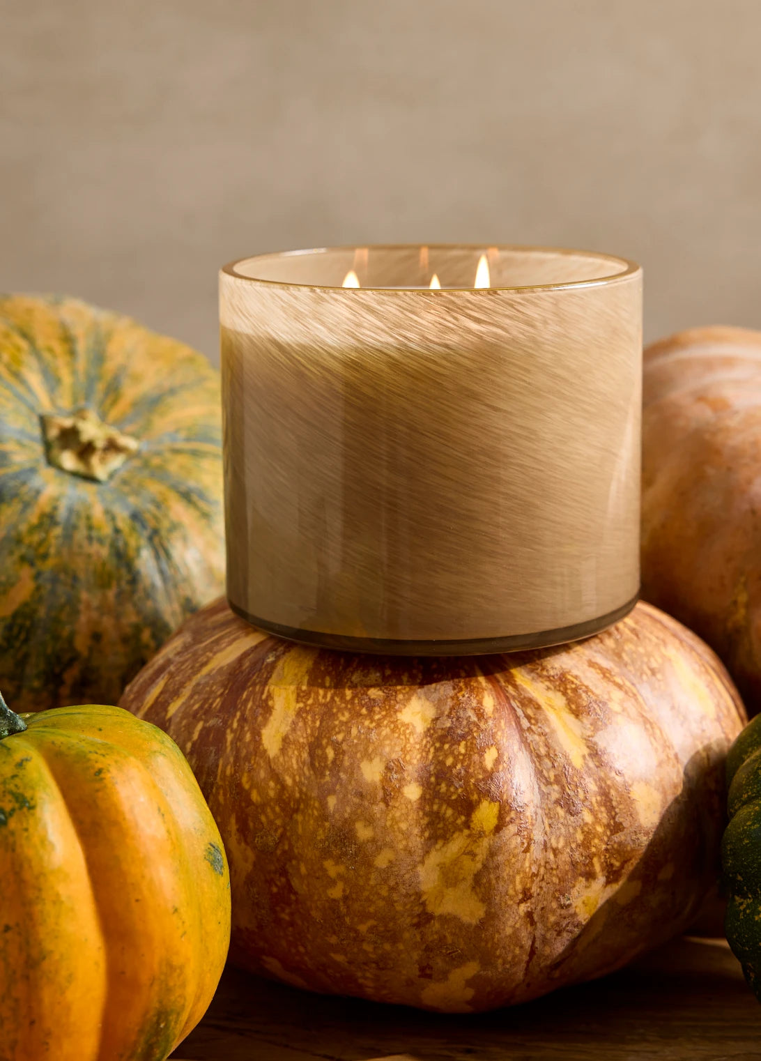 Pumpkin Seed & Sandalwood  3-Wick Candle