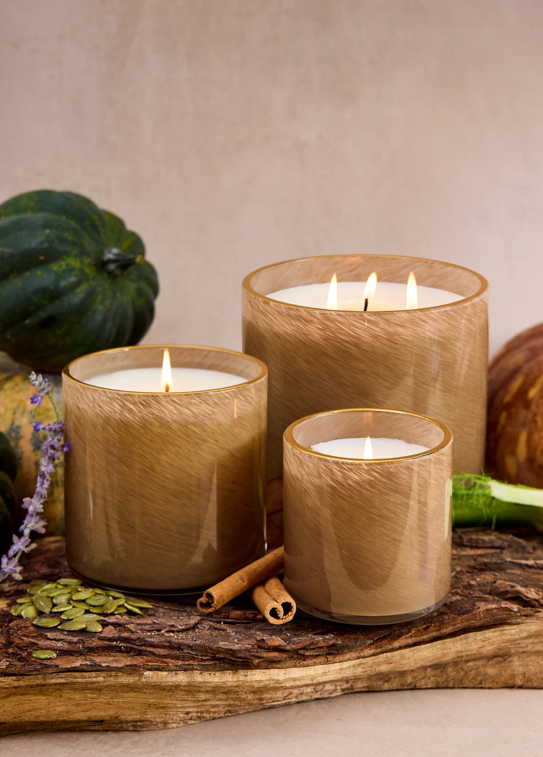 Pumpkin Seed & Sandalwood  3-Wick Candle