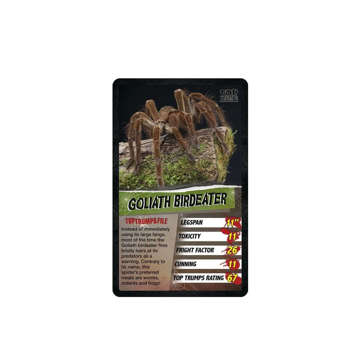 Top Trumps Spiders