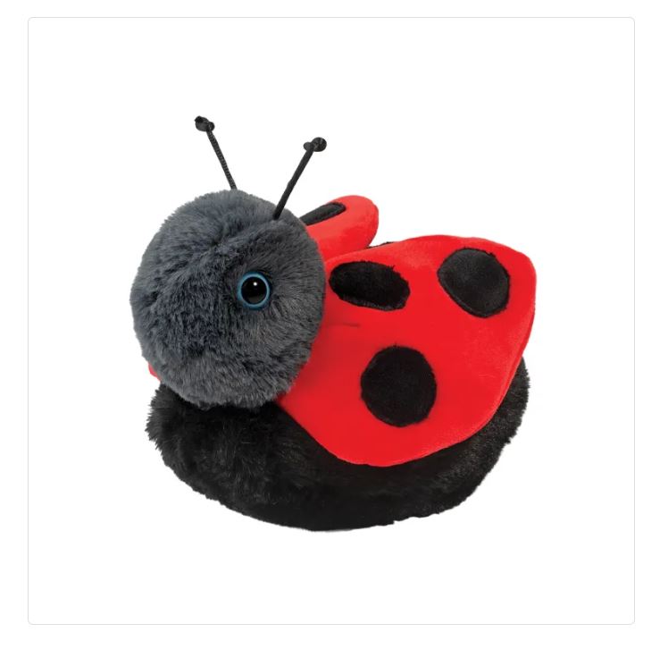 Bert Ladybug