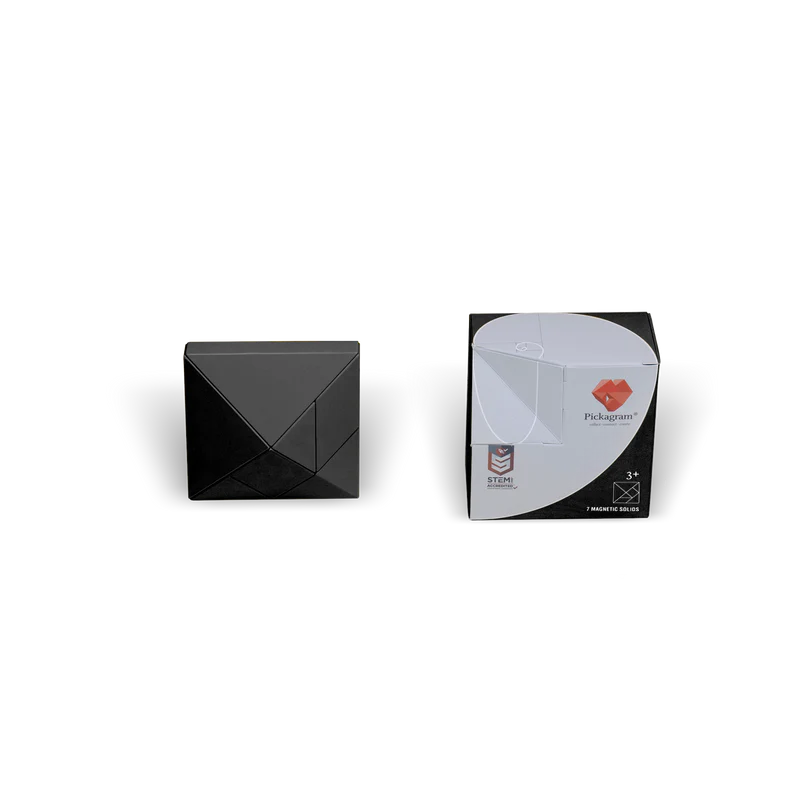 Pickagram Magnetic 3d Art Puzzle