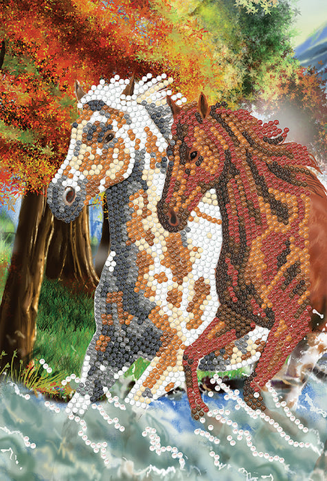 Card Kit Notebook- Wild Horses