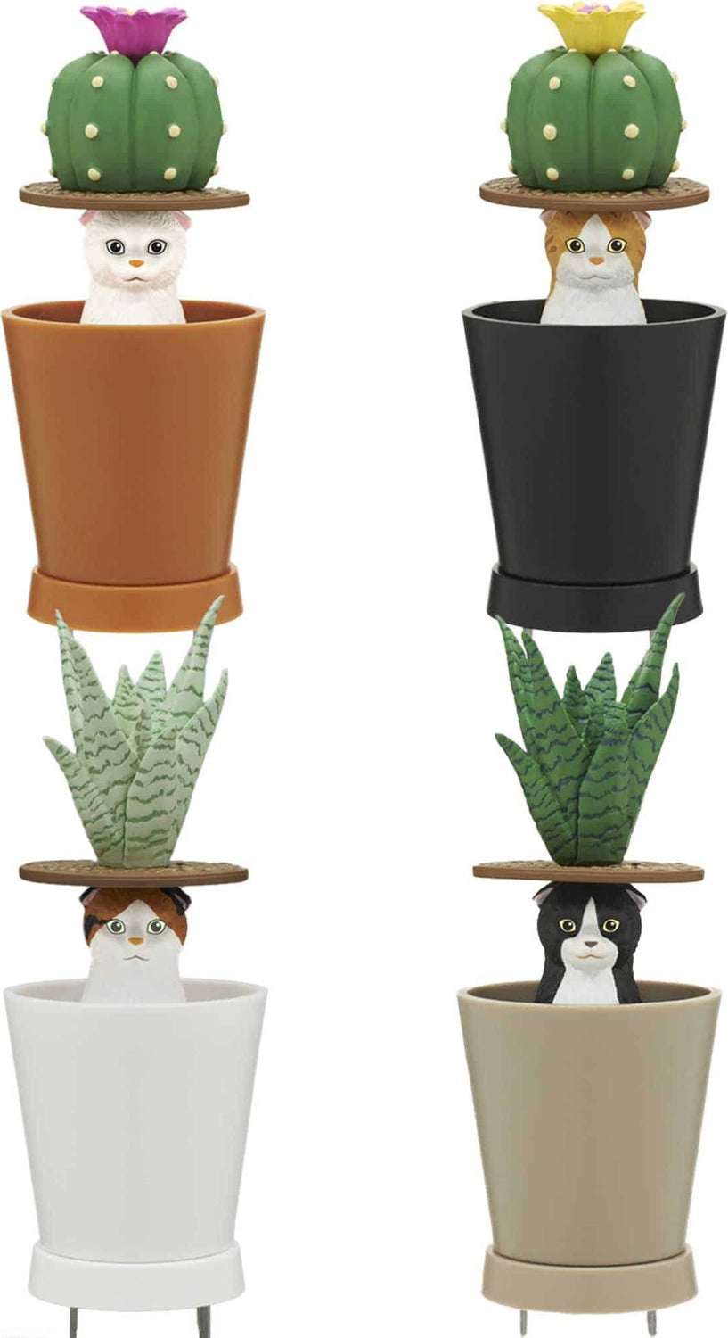 Cat Peek Planter Blind Box