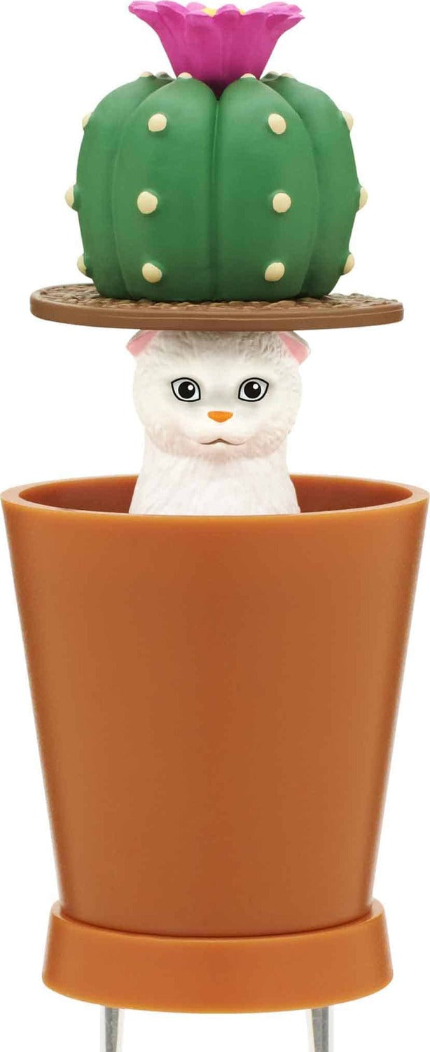 Cat Peek Planter Blind Box