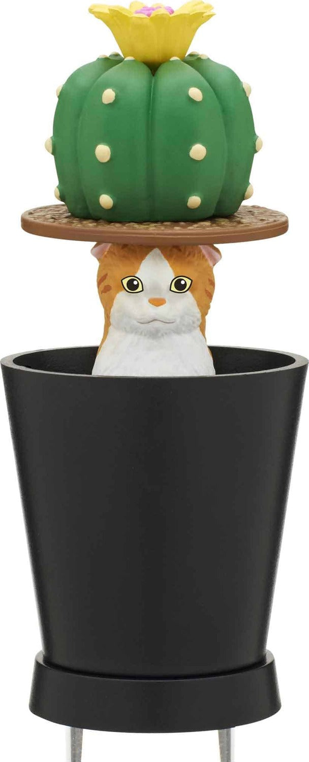 Cat Peek Planter Blind Box