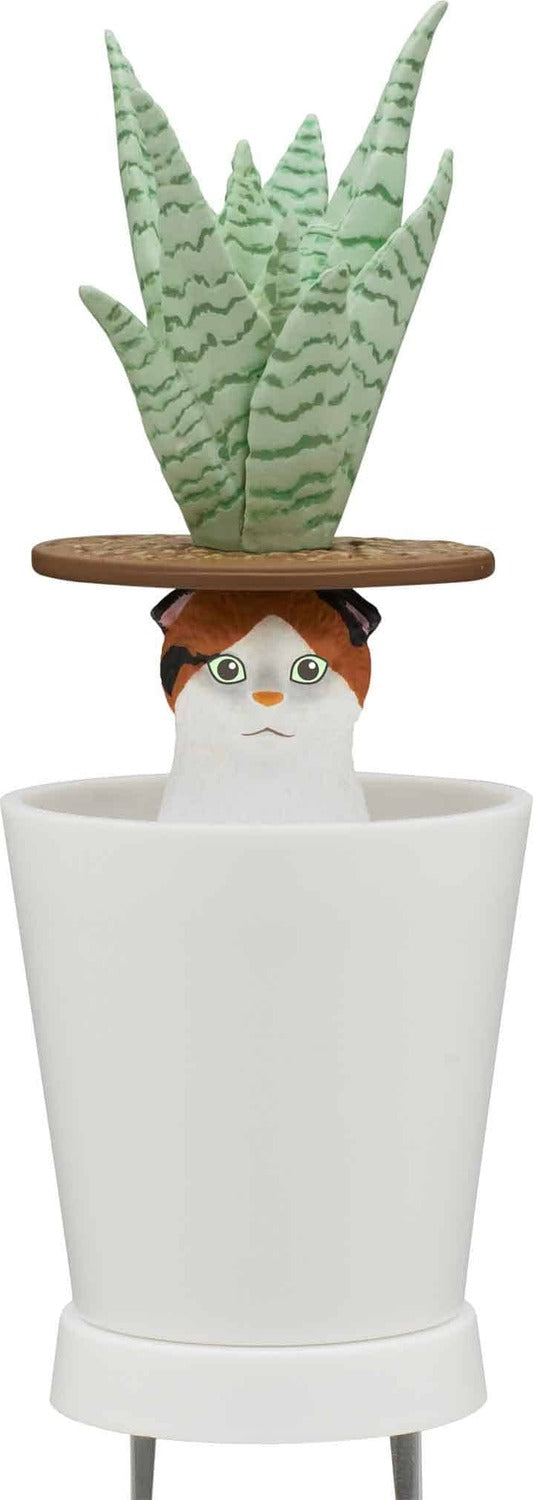 Cat Peek Planter Blind Box