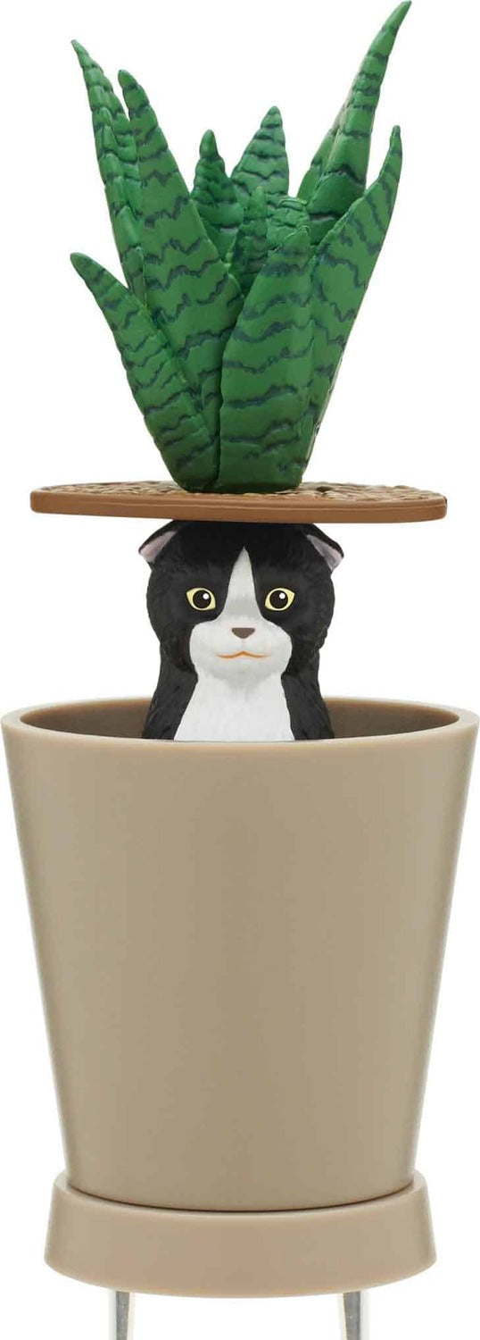 Cat Peek Planter Blind Box