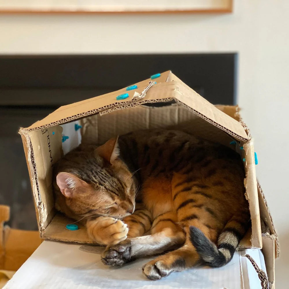 Makedo Explore Kit