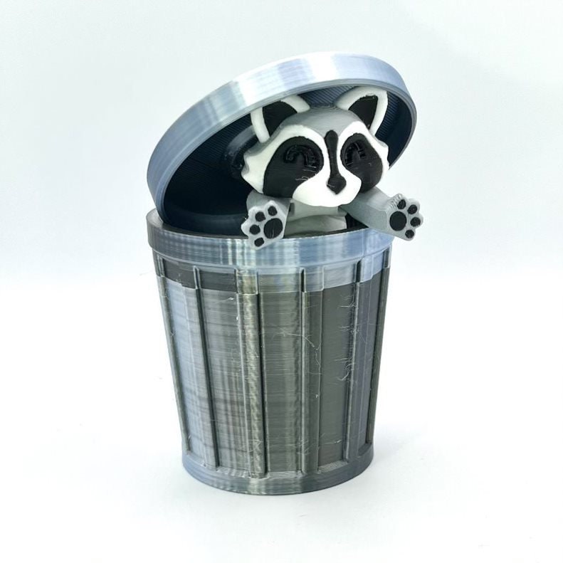 Trash Canimals: Raccoon