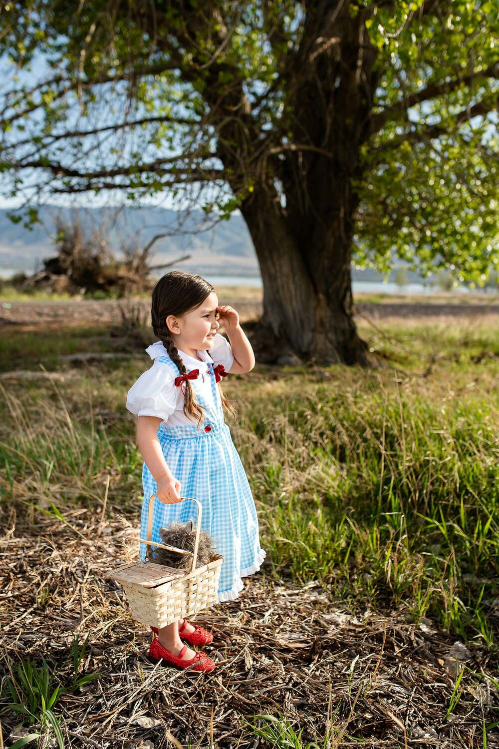 Kansas Girl with Bows - 7-9 Years (XL)