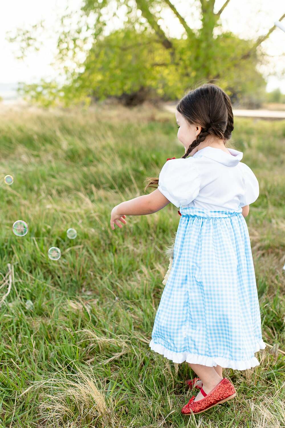 Kansas Girl with Bows - 7-9 Years (XL)