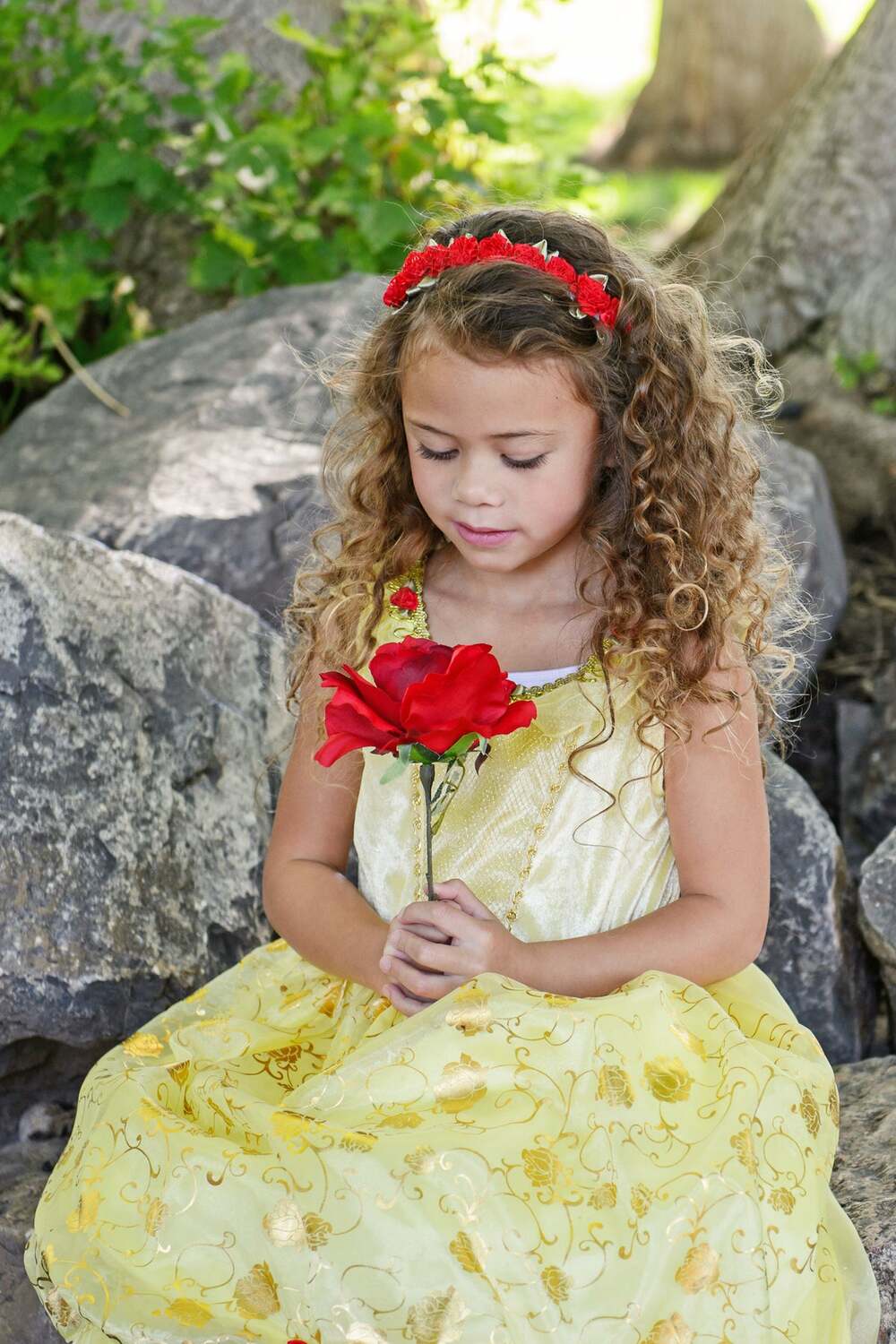 Yellow Beauty - 1-3 Years (S)