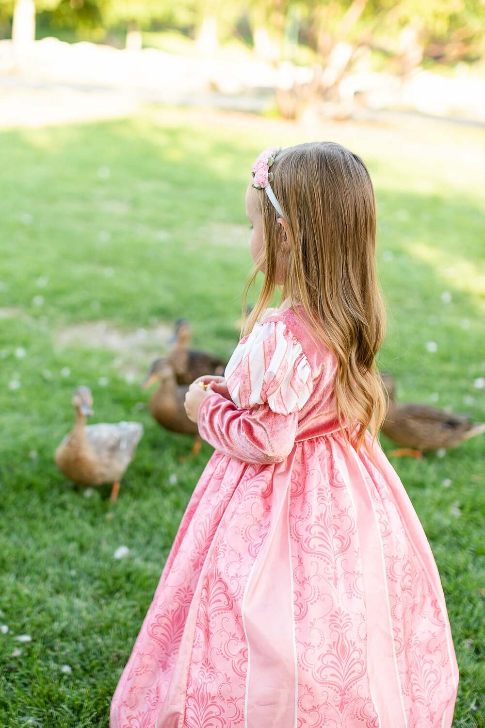 Coral Renaissance - 1-3 Years (S)