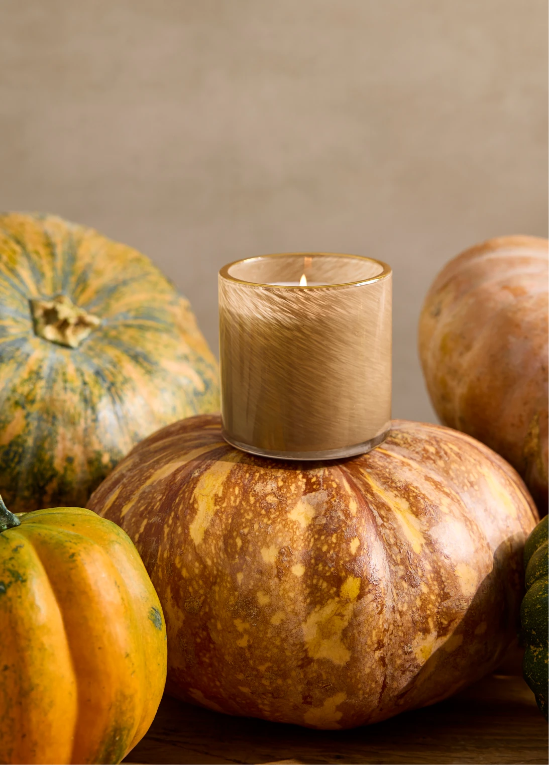 Pumpkin Seed & Sandalwood Classic Candle