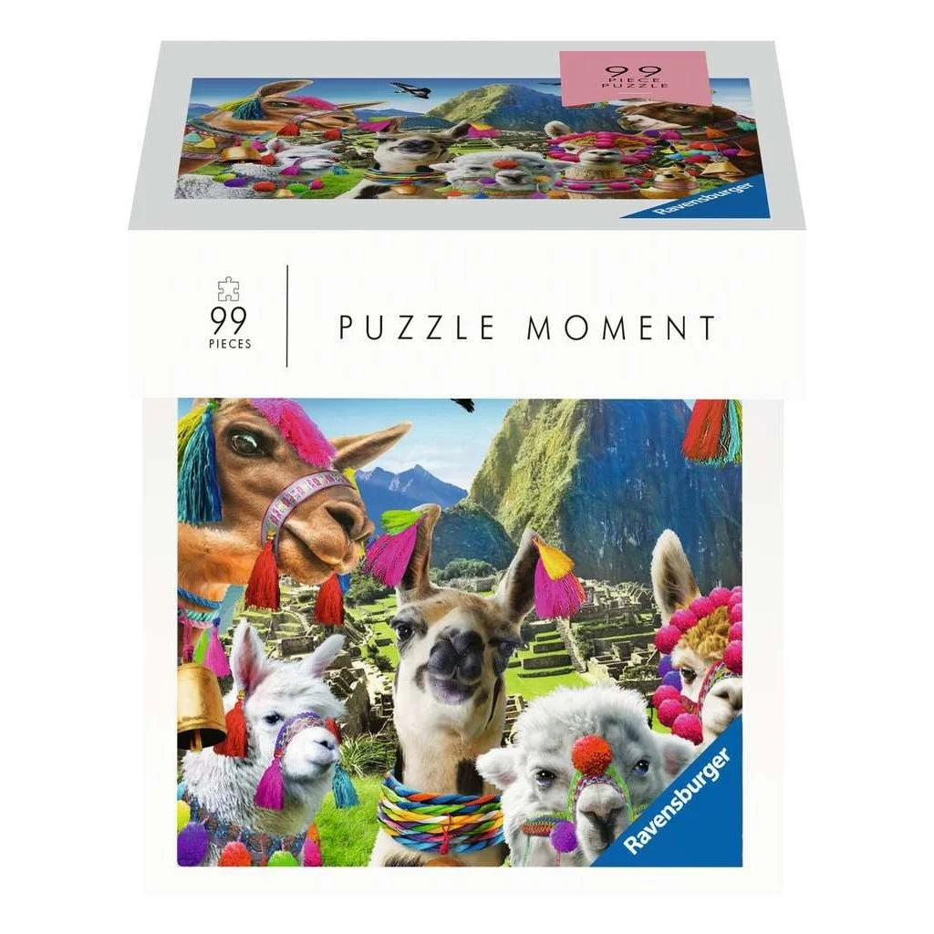 99pc Puzzle Moment
