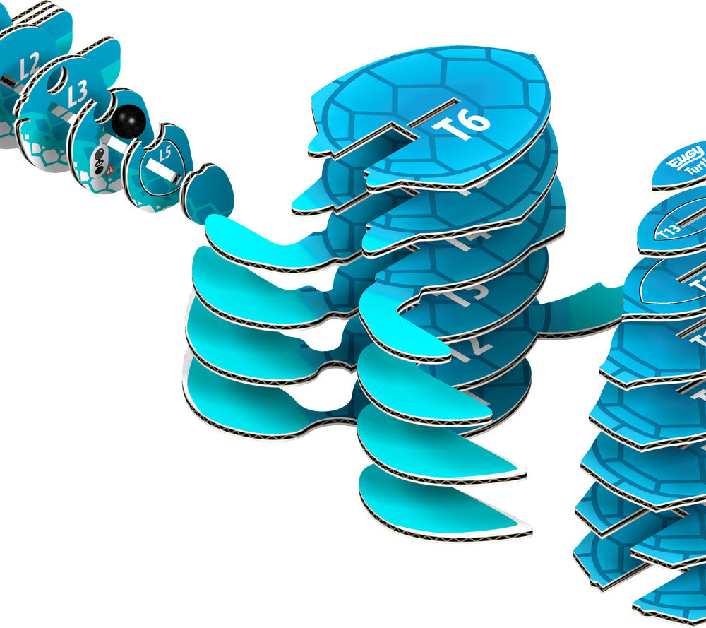 EUGY Turtle 3D Puzzle