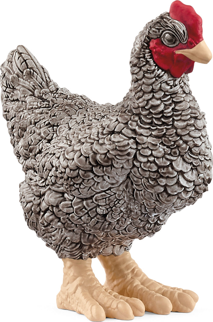 schleich FARM WORLD Plymouth Rock Chicken