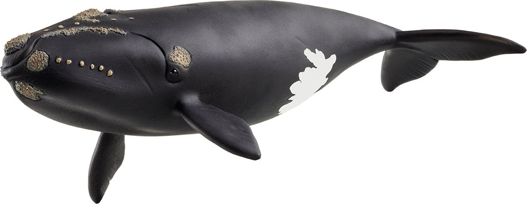 schleich WILD LIFE North Atlantic Right Whale