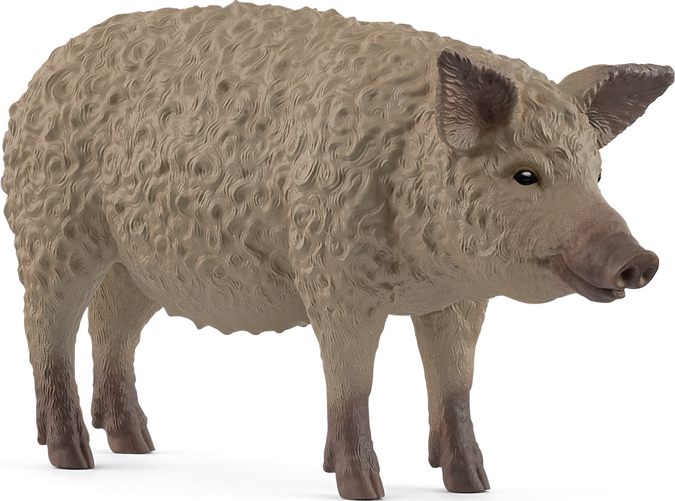 schleich FARM WORLD Mangalica Pig