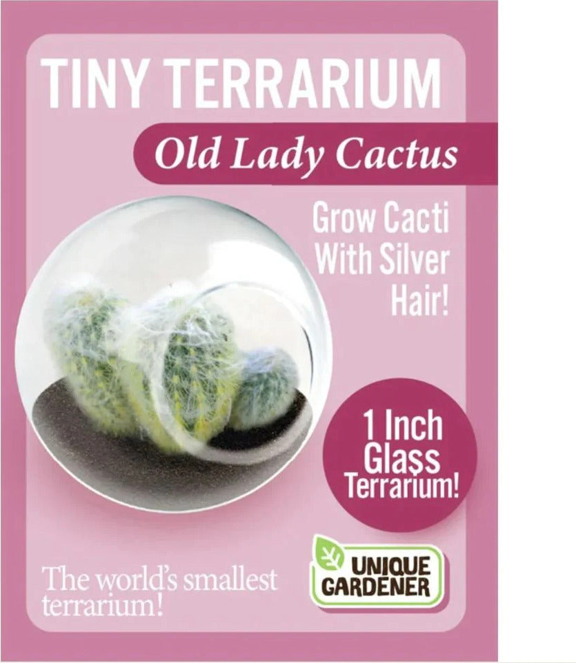 Tiny Terrarium - (Old Lady Cactus)