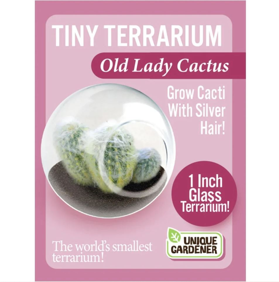Tiny Terrarium - Old Lady Cactus