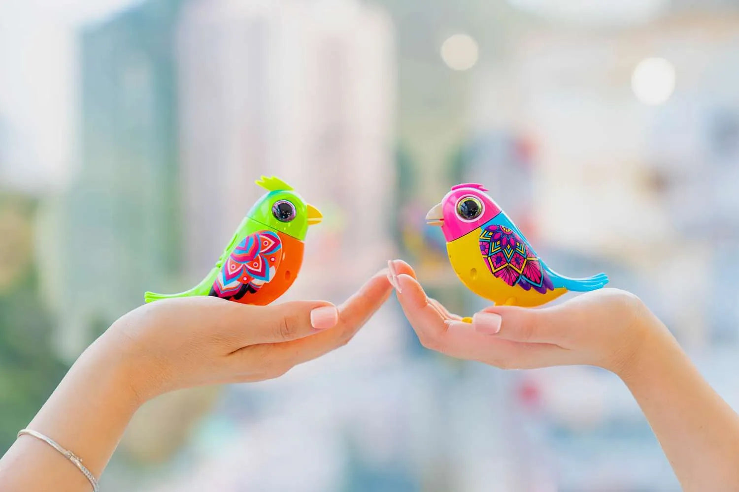 DigiBirds – Single Pack Assorted