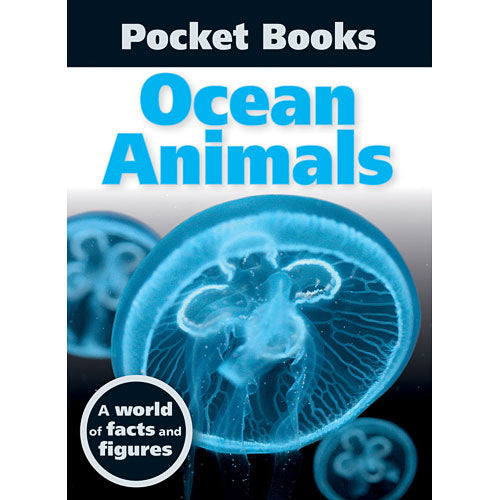 Ocean Animals