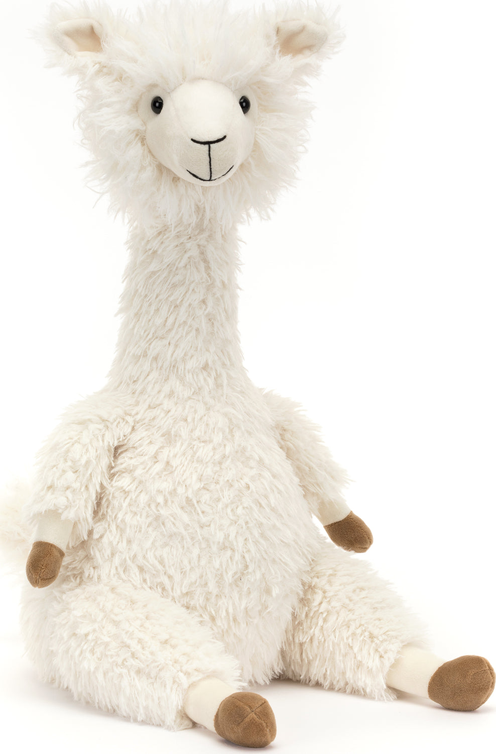 Alonso Alpaca