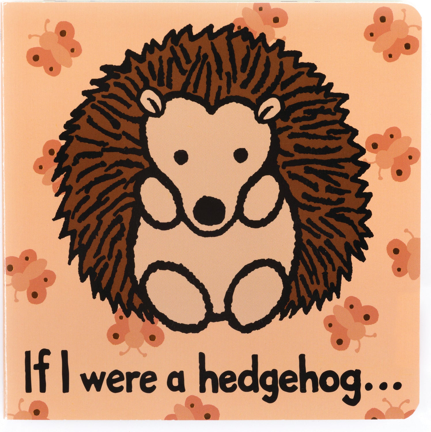 If I Were A Hedgehog Book