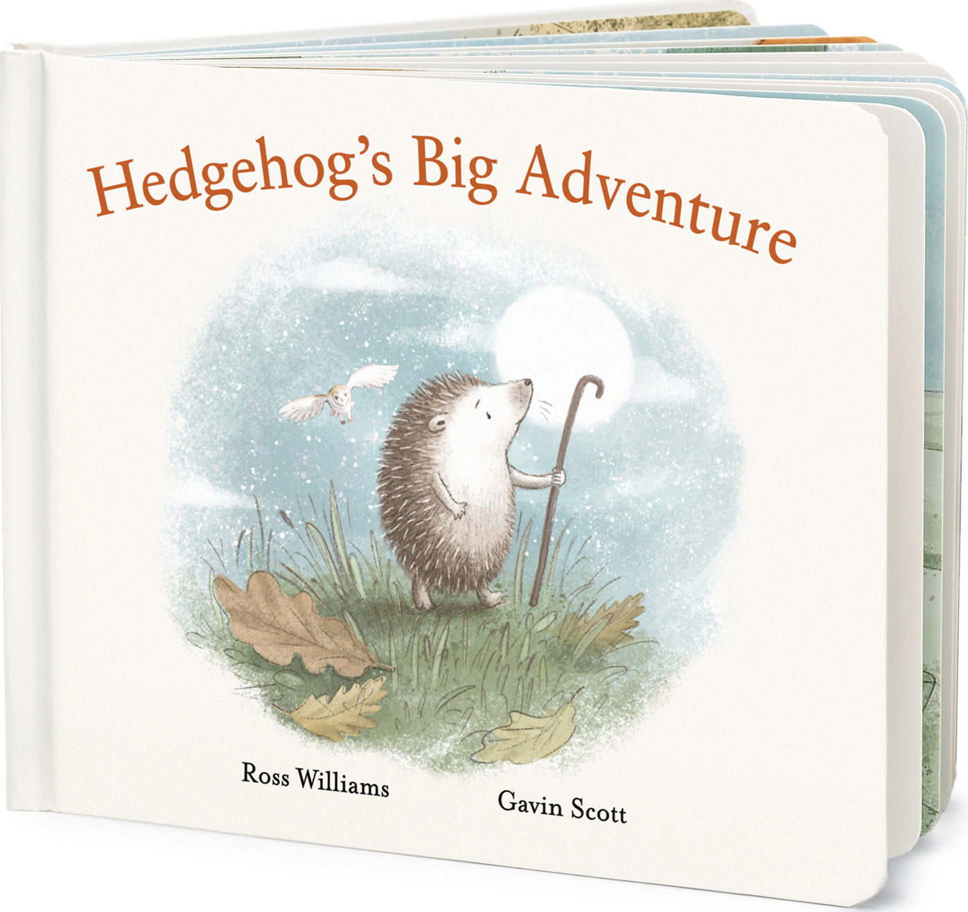 Hedgehog's Big Adventure Book