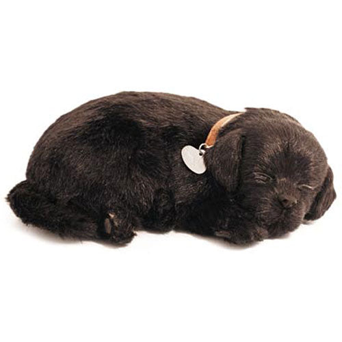 Perfect Petzzz Black Lab