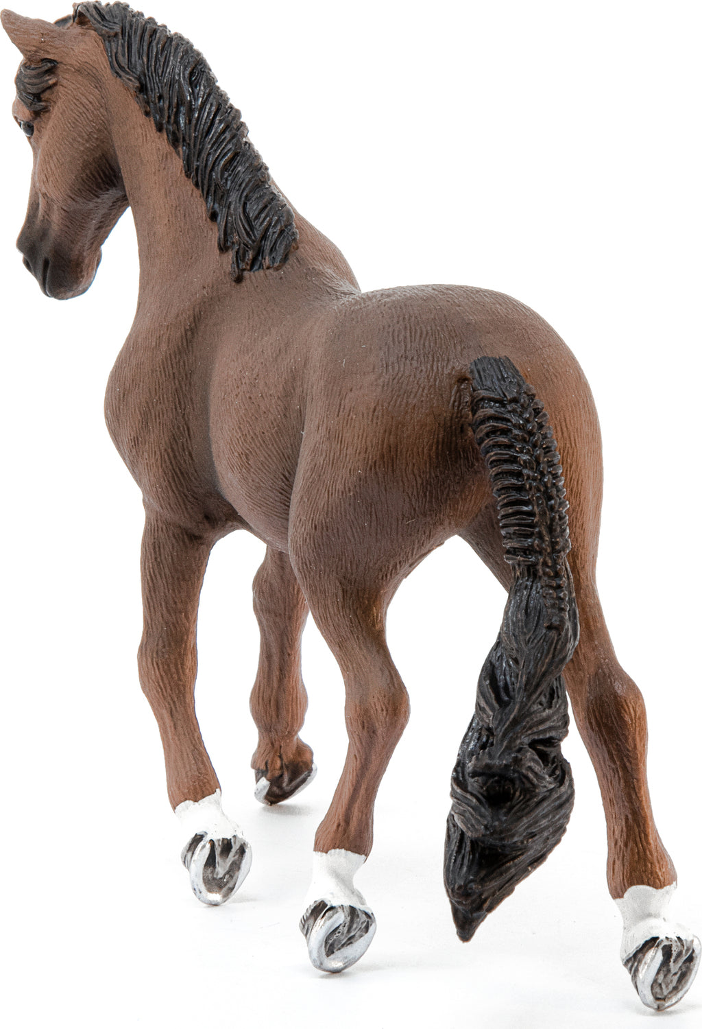 Trakehner Gelding