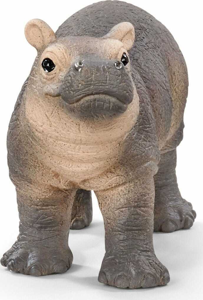 Baby Hippopotamus