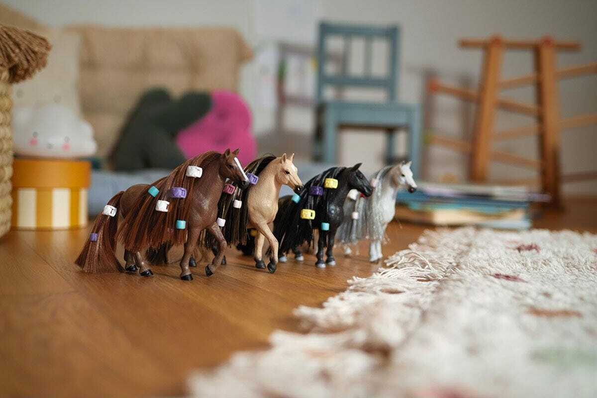 Beauty Horse English Thoroughbred Mare