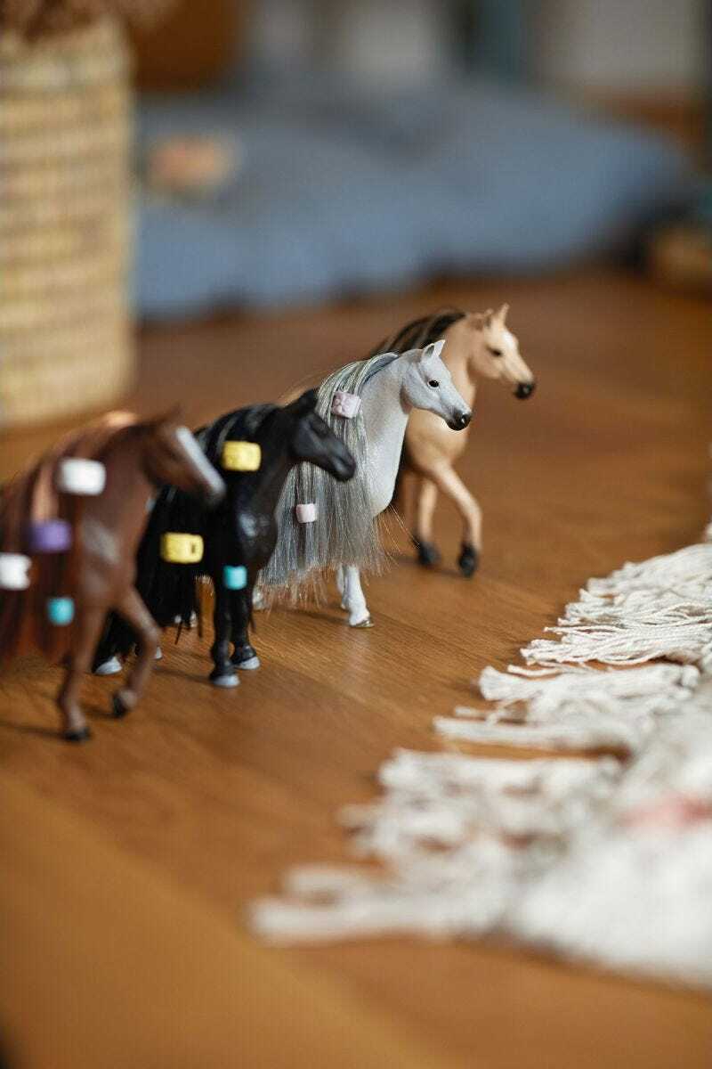 Beauty Horse English Thoroughbred Mare