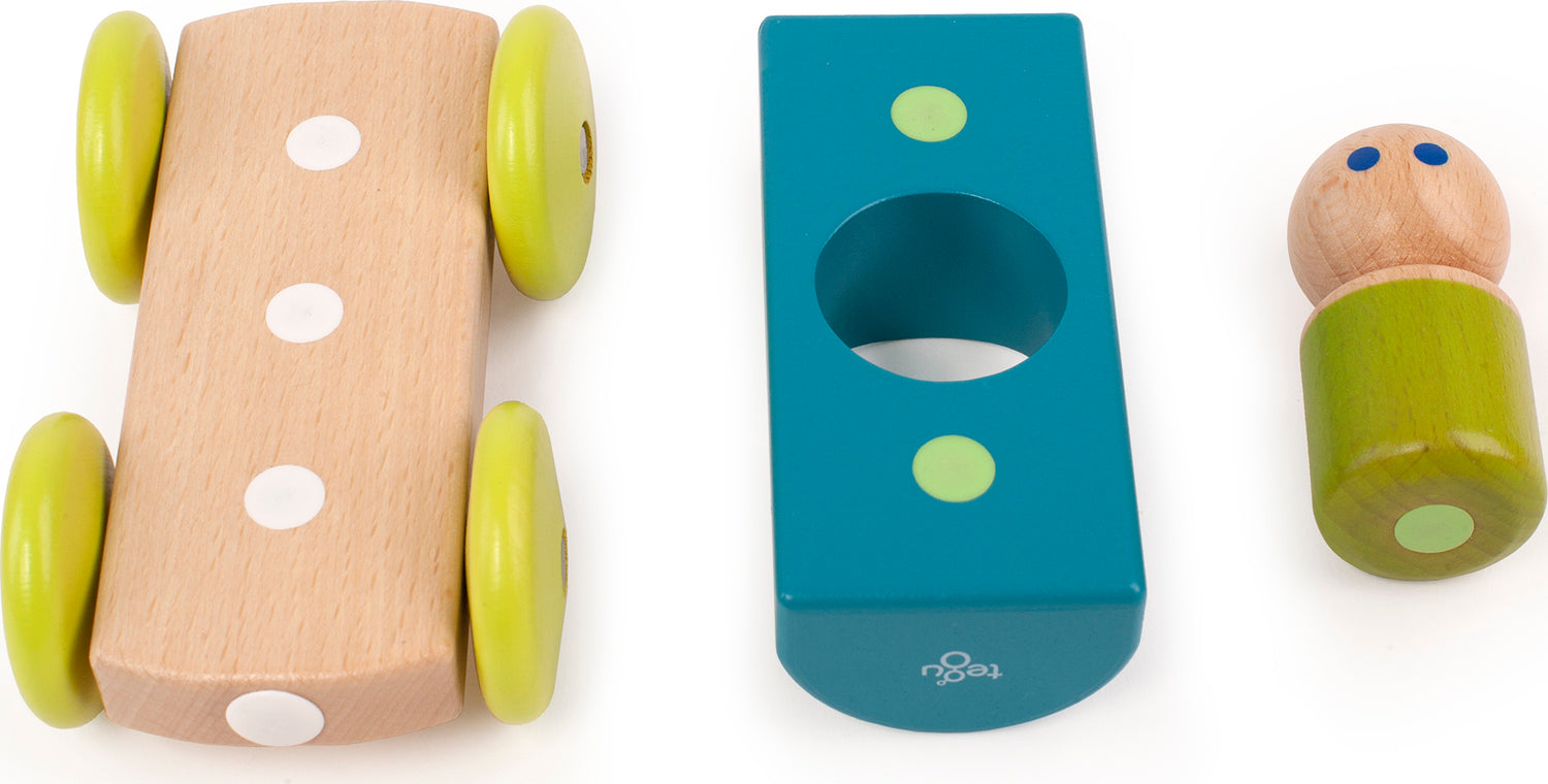 Tegu Magnetic Racers